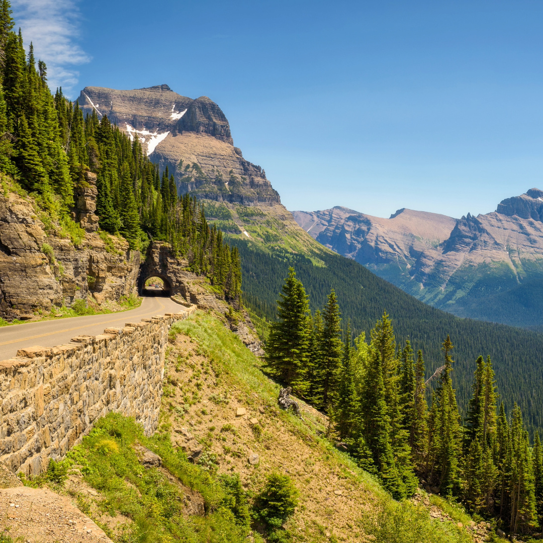 Mountain tunnel and cliffside view along Going-to-the-Sun Road in Glacier National Park, with pine forests and rugged peaks.