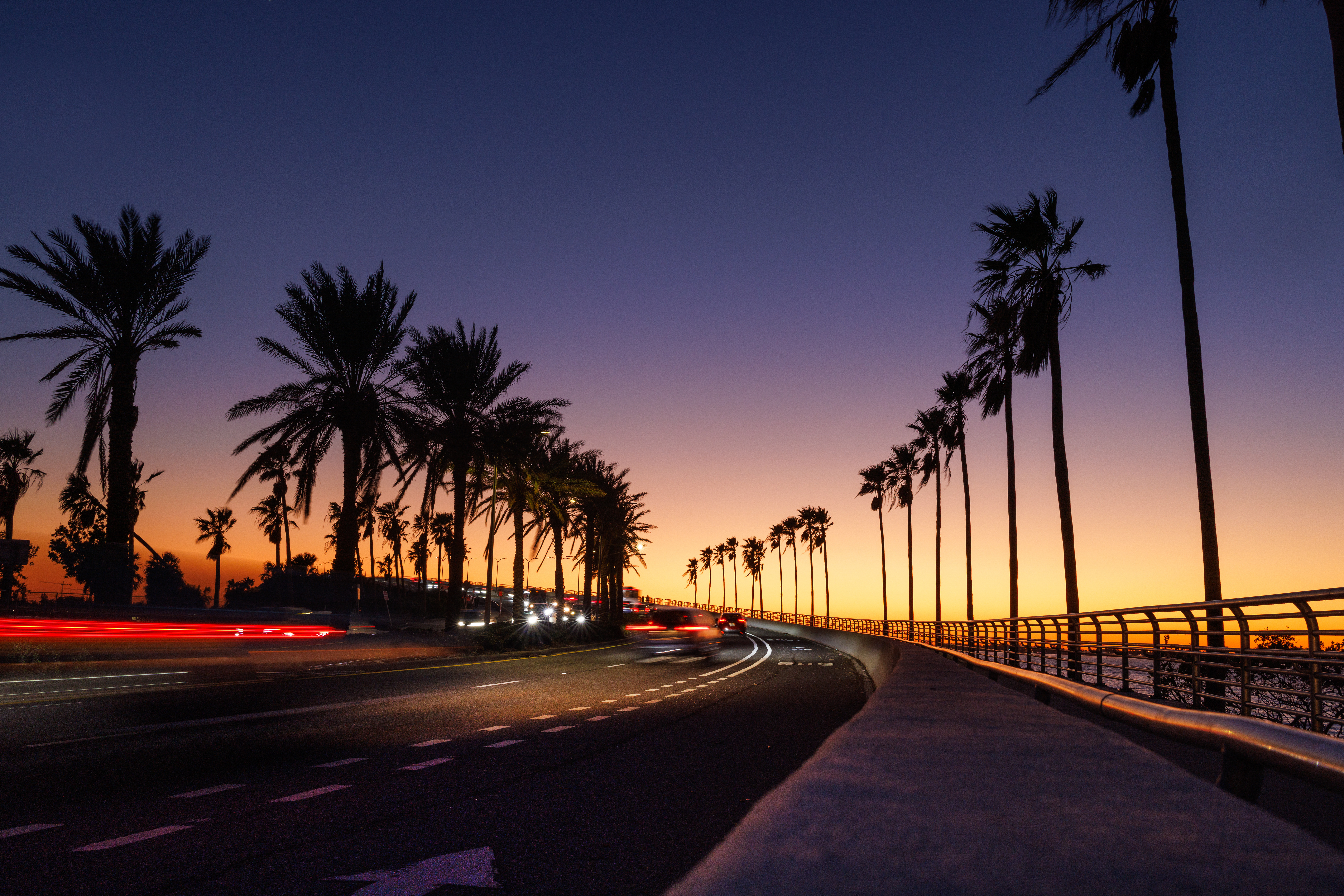 Palm-lined highway at sunset with car light trails, capturing the coastal beauty of the Tampa to Miami drive.
